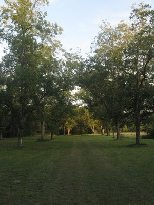 Babe and Sage Farm