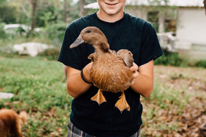 Restoration Farms