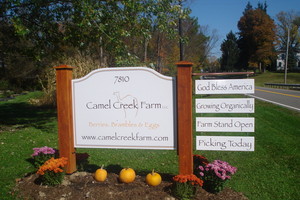 Camel Creek Farm