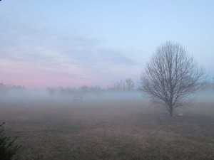 Crescendo of Peace Farm