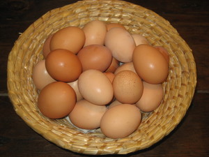The Old Homestead Farm & Bakery