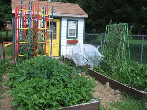 Indy Urban Homestead