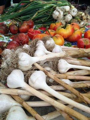Fenelon Falls Farmers' Market