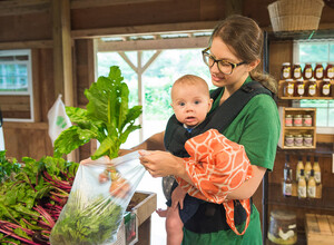 Fernbrook Farms CSA