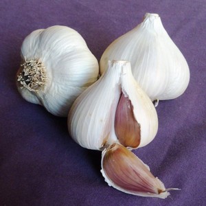 Red Gate Garlic LLC