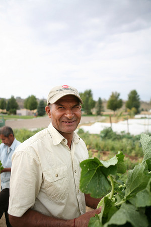Create Common Good Farm