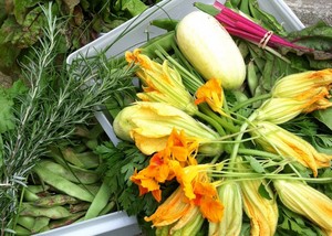 Farm & The Fork