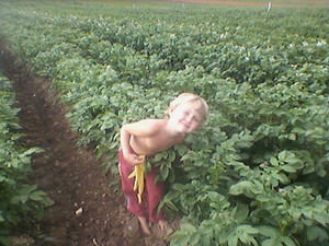 Asbury Village Farm