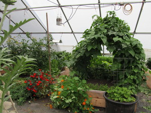 Rocky Farm Foods
