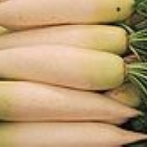 Farmers Fresh CSA