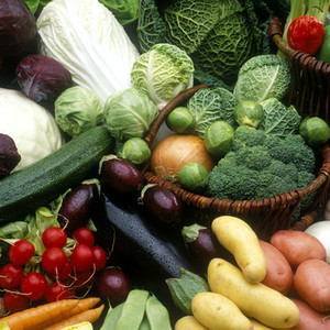 Calypso Creek Farm