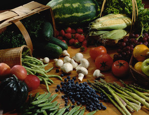 Calypso Creek Farm