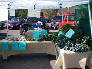 Quarter Acre Farm