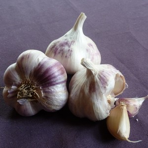 Red Gate Garlic LLC