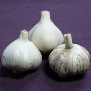 Red Gate Garlic LLC