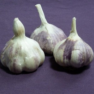Red Gate Garlic LLC