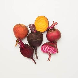 Harvest Tide Organics