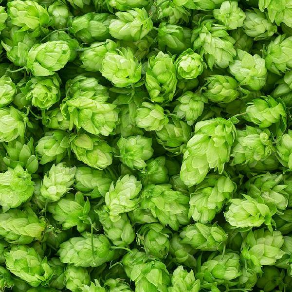 hops