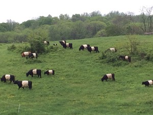 Skye Ridge Farm