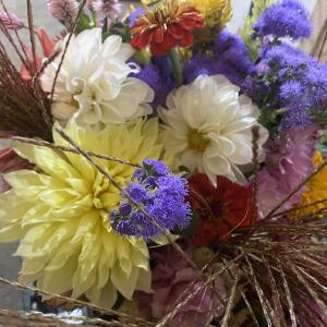 Highland Orchards Farm Market