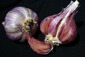 Blue Fortune Farm, LLC