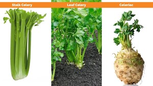 Harvest2U