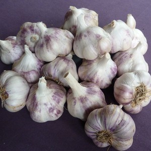 Red Gate Garlic LLC