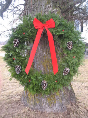 McFadden Family Farm