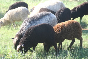 Rio Milagro Farm