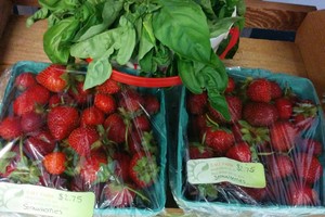 Delaware Bounty