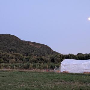 Robariah Farms