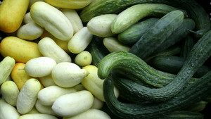 New Rising Sun Farms