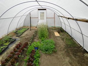 Working Shares CSA