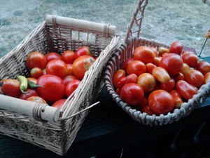 Randalls Farm
