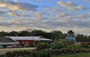 Carpenters Farm