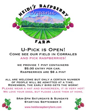 Heidi's Raspberry  Farm