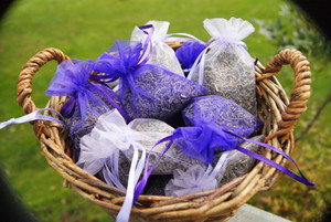 Castle Rock Lavender