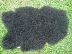 Ewe Rock Farm