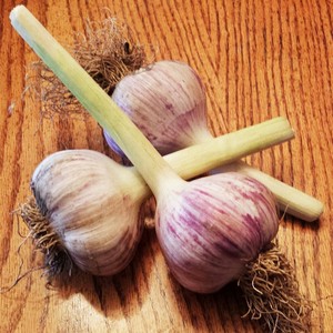 Jubilee Produce