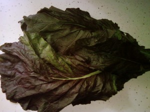 Grower Jim's Plants and Produce LLC