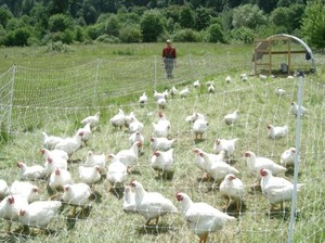 Broken Bow Farm