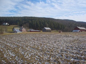 H.A.M.M.S. Farm