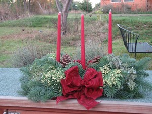 Snowline Tree Farm