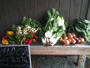 Circle Acres Farm
