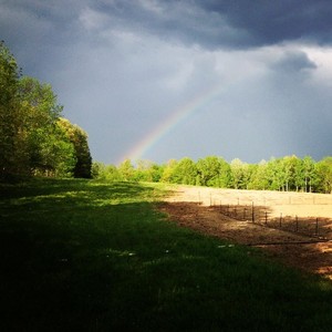 VIDA farm