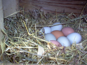 A. H. Herb'n Craft Farm