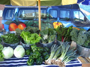 Common Hands Farm
