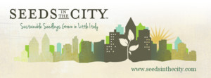 Seeds in the City