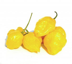 Peppers & More