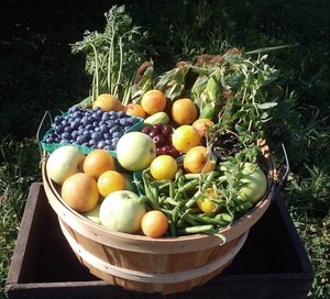 To Your Door Produce Delivery